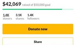 华人社区直播91,探索多元文化魅力，共筑线上家园