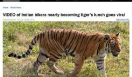 四虎视频在线,在线娱乐新潮流